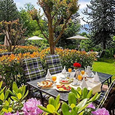 Al Fiume Hotel Losone